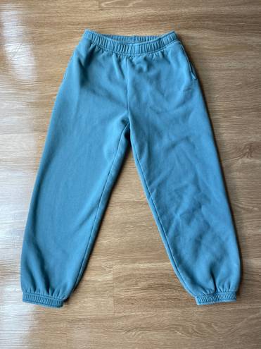 Aritzia Cozy Mega Sweatpants