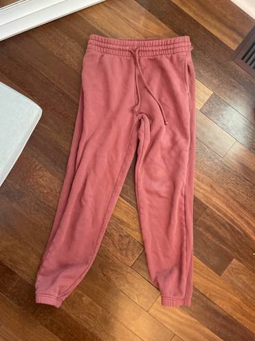 Aritzia Tna Joggers