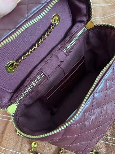 Charles and Keith  burgundy purse 