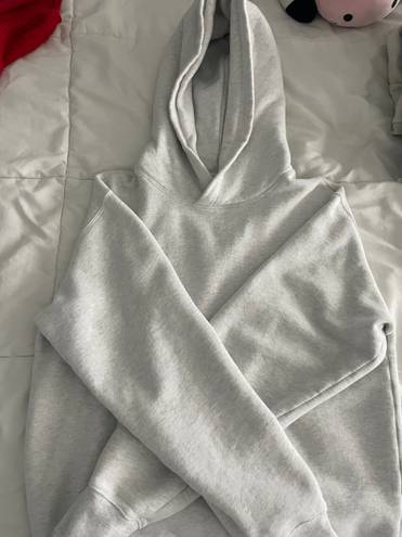 Aritzia Cozy Fleece Perfect Fit Hoodie