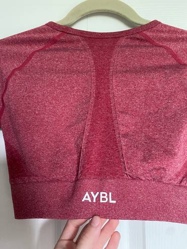 AYBL Empower Cropped Workout Top