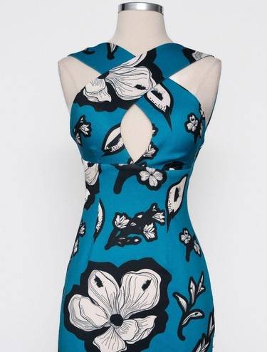 Kimberly  Goldson. Chrissi peppermint floral sheath dress.