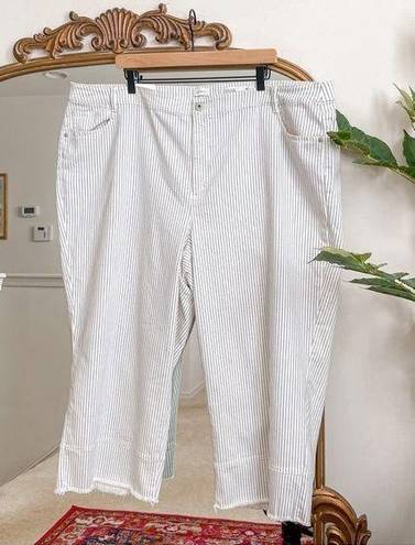 J.Jill  High Rise Full Leg Cropped Jeans Cream Textured Stripe NWT Plus Size 28