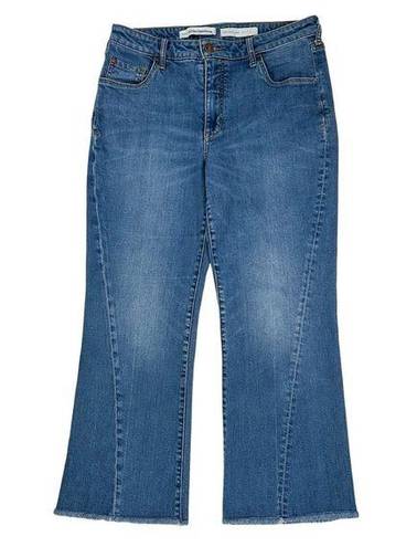 Pilcro  High Rise Flare Jeans Raw Hem Size 31