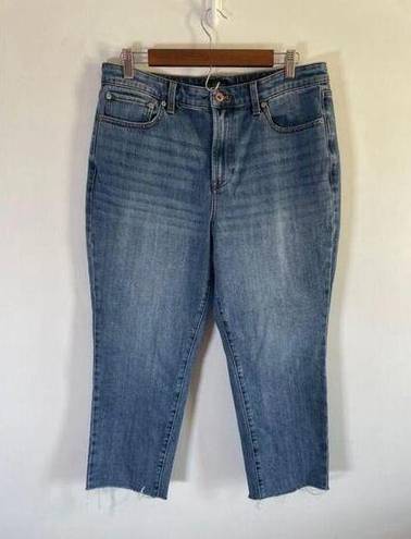 Talbots Women's  Modern Ankle Jeans - Size 12P - Blue Petite EUC!