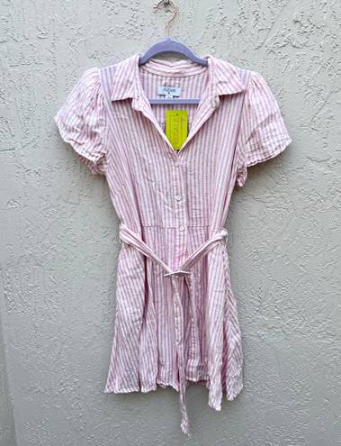 Alexis Dress Pink Striped