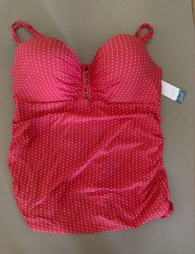 Cacique  swimsuit top 38F lightly lined bandeau polkadot