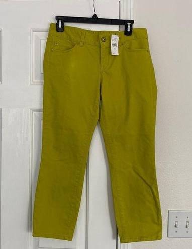 The Loft NWT Anny Taylor modern crop pants in bright green.