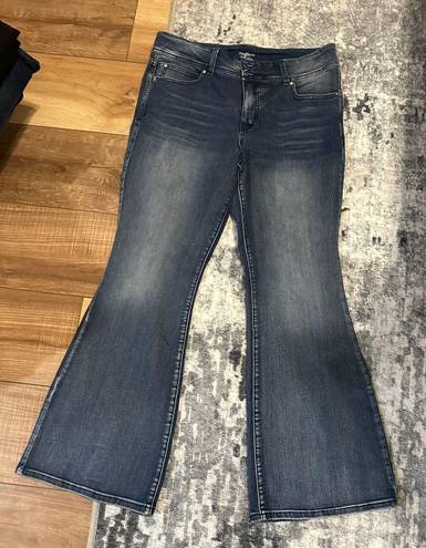 Buckle NWOT  Flare Jeans