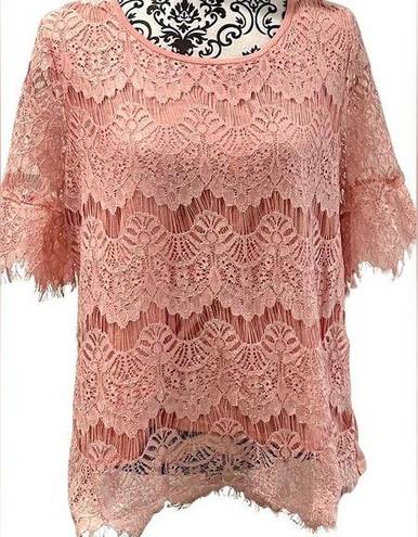 Absolutely Famous  💓LADIES XL💓PINK LACE TOP TUNIC SHORT SLEEVED SEMI SHEER