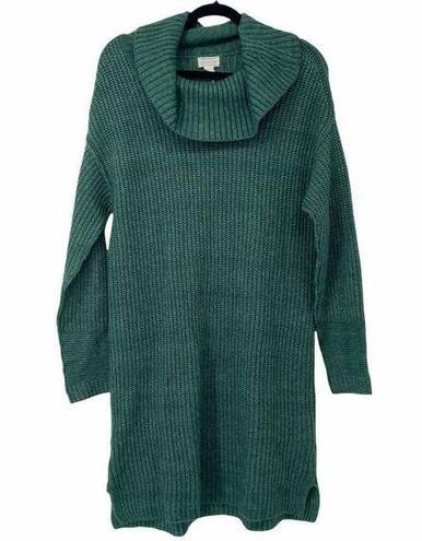 Caslon  Green Cowl Neck Tunic Sweater