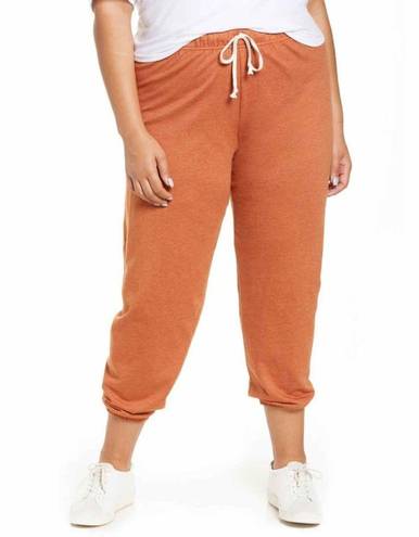 Treasure & Bond  Boyfriend Sweatpants Rust Umber Size 3X