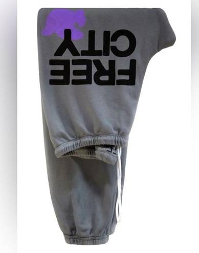 Free city sweatpants Gray Size XS