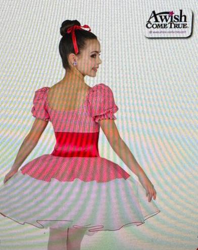 Wish A  Come True Appalachian Spring White Tutu Lace Up Red Gingham Dance Ballet Dress, size S