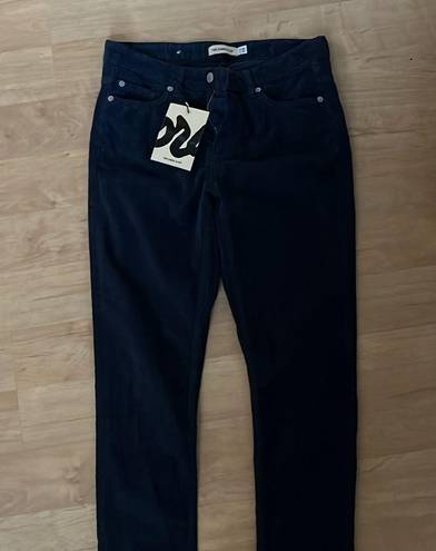 Krass&co NWT The Cords &  “Hey” Corduroy Low Rise Skinny Pants in Raw Indigo size 28/32