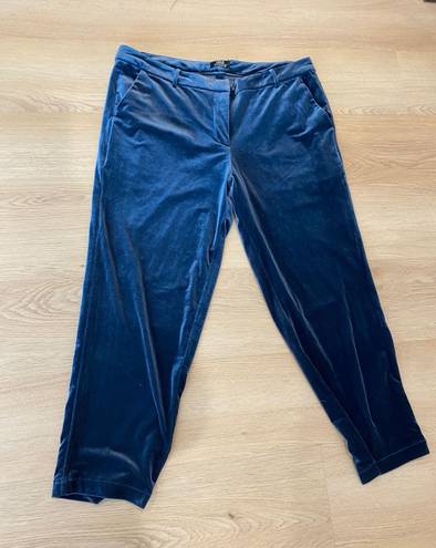 Lucca Couture Blue Velvet Cropped Pants 