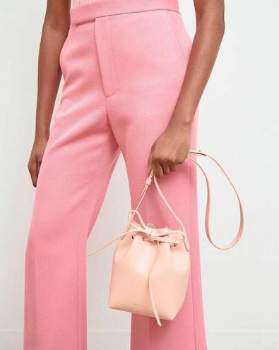 Dahlia Mansur Gavriel Mini Leather Bucket Bag ~NWT~  Pink