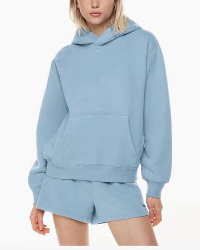 Aritzia Sweatshirt