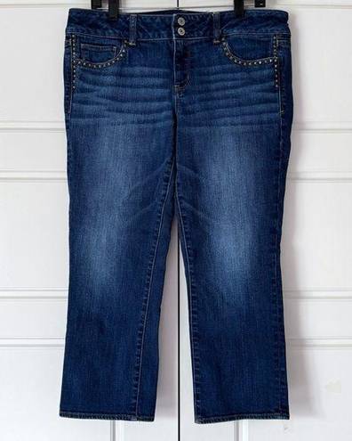 American Eagle  Artist Crop Jeans 14 Womens Studs Stretch Medium Wash Denim Ankle