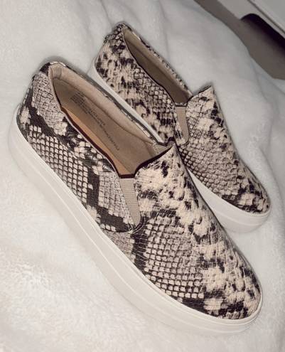 Cushionare Snakeskin Shoes