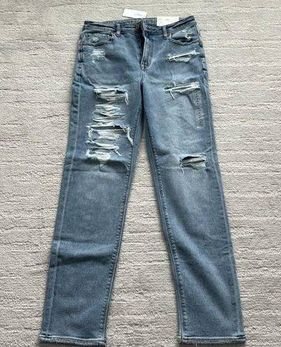 American Eagle Ripped High Rise Mom Jean