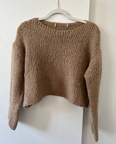 ZARA Brown Sweater