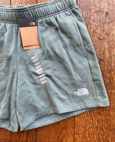 The North Face  Women's Evolution Shorts | Dark Sage | XL | NWT