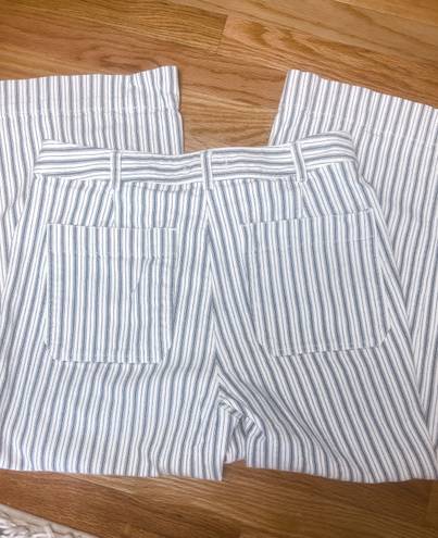 Madewell Emmett Wide Leg Crop Blue & White Striped Button Fly Pants Size 31