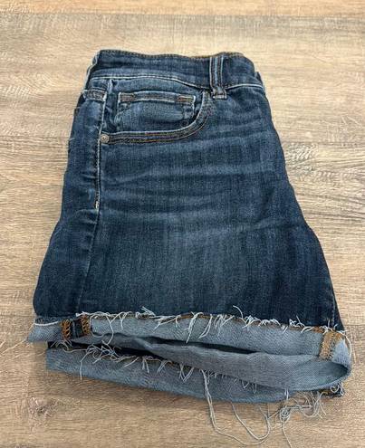 American Eagle Outfitters Jean Shorts