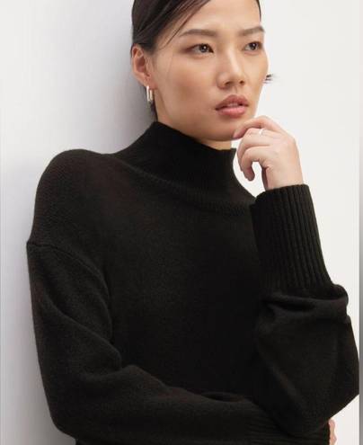 Everlane NWOT  The Cashmere Oversized Turtleneck