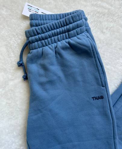 Aritzia TNA Cozy Fleece Boyfriend Sweatpant