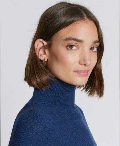 Everlane NWT  The Cashmere Oversized Turtleneck