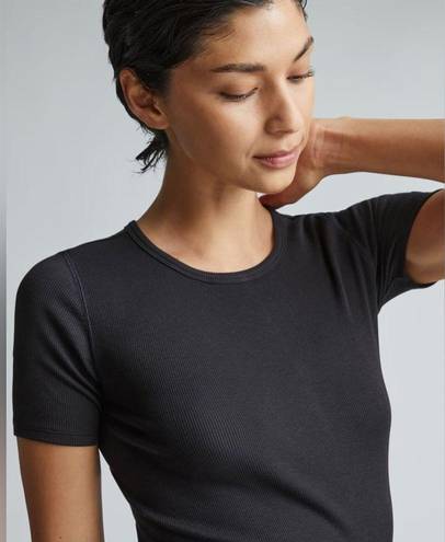 Everlane NWT  The Supima® Micro-Rib Crew