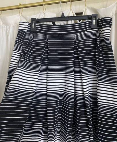 TJ Maxx Skirt