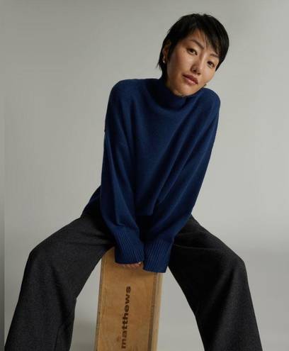 Everlane NWT  The Cashmere Oversized Turtleneck