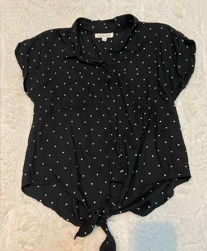 Harper  (Francesca’s) Short Sleeve Button Down