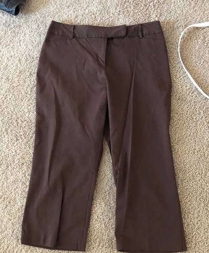 Apt. 9 Brown Capri work slacks never worn 