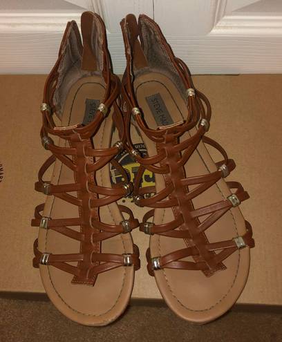 Steve Madden Sandal