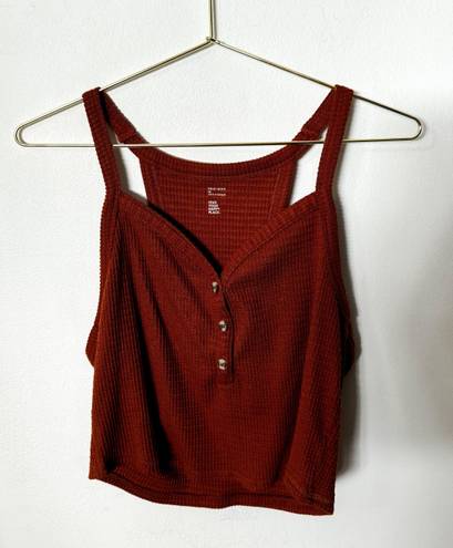 Gilly Hicks knit cropped tank top