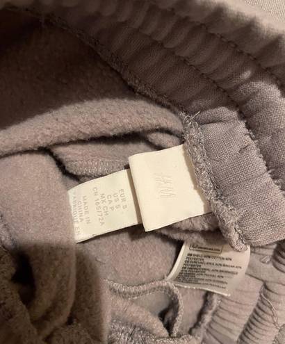 H&M Gray/purple Cropped Sweat Suit