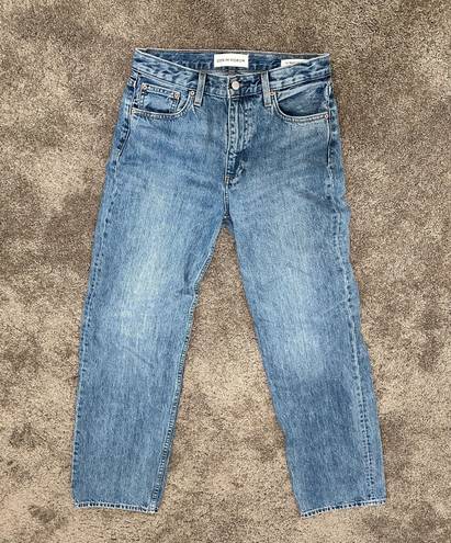 Aritzia Denim Forum The 90’s Iggy Lo-Rise Baggy