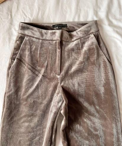 Romeo + Juliet Couture Dusty Gray/Brown Velvet Pants