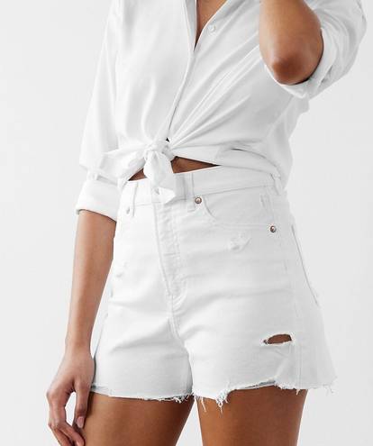 EXPRESS Shorts