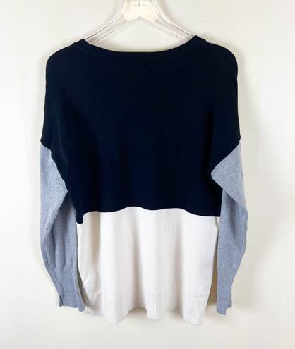 DKNY Neutral Colorblock Sweater Size Large