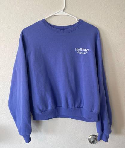 Hollister Purple Sweatshirt