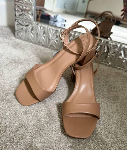 A New Day Heels