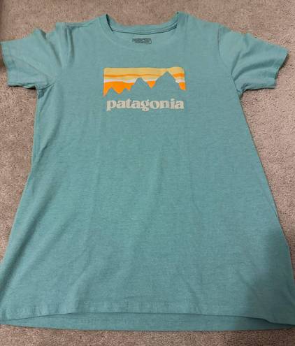 Patagonia Shirt