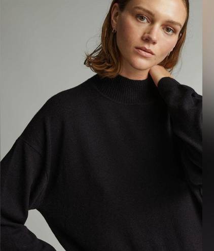 Everlane NWT  The Luxe Merino Turtleneck