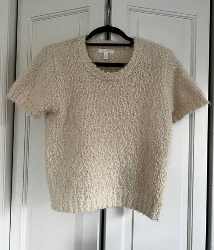 LC Lauren Conrad lauren conrad short sleeve sweater