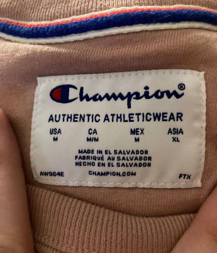 Champion Sweater